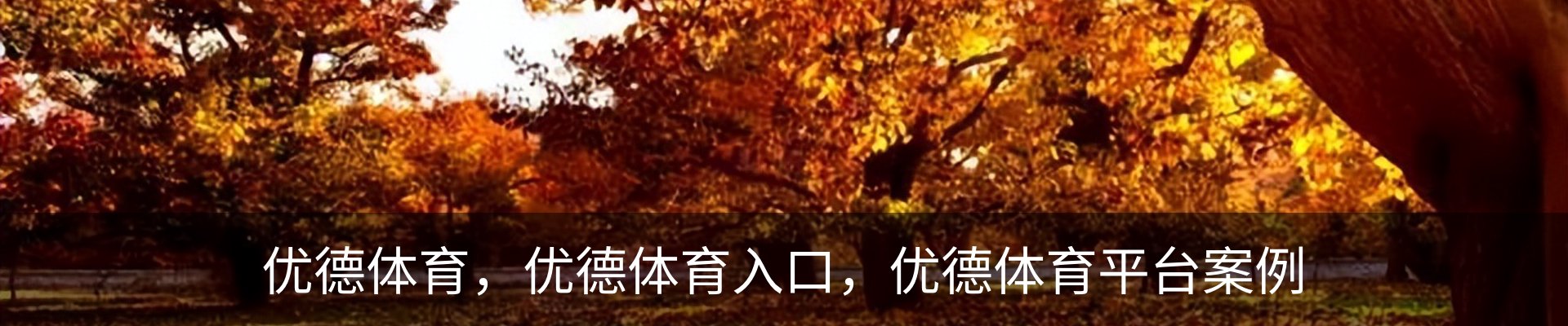 优德体育，优德体育入口，优德体育平台案例